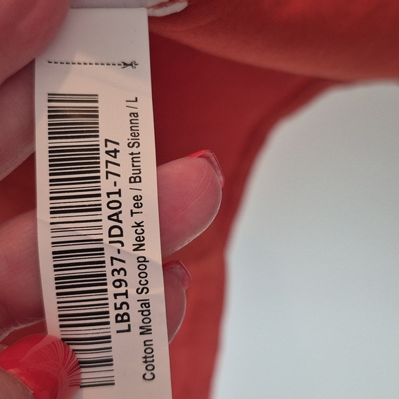 NWT Quince Modal Cotton Blend Scoop Neck T Shirt Basic Classic Burnt Orange - Picture 6 of 6